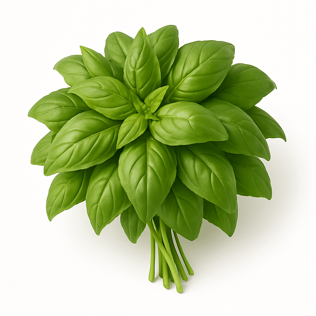 Basil Fresh 50g - 24shopping.shop
