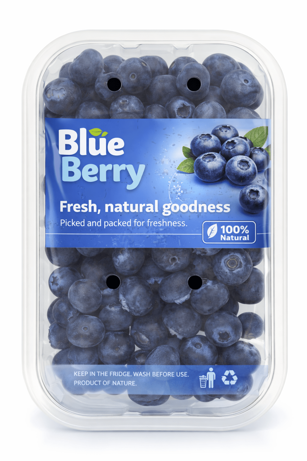 Blue Berry Back - 24shopping.shop