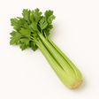 Celery Each - 24shopping.shop