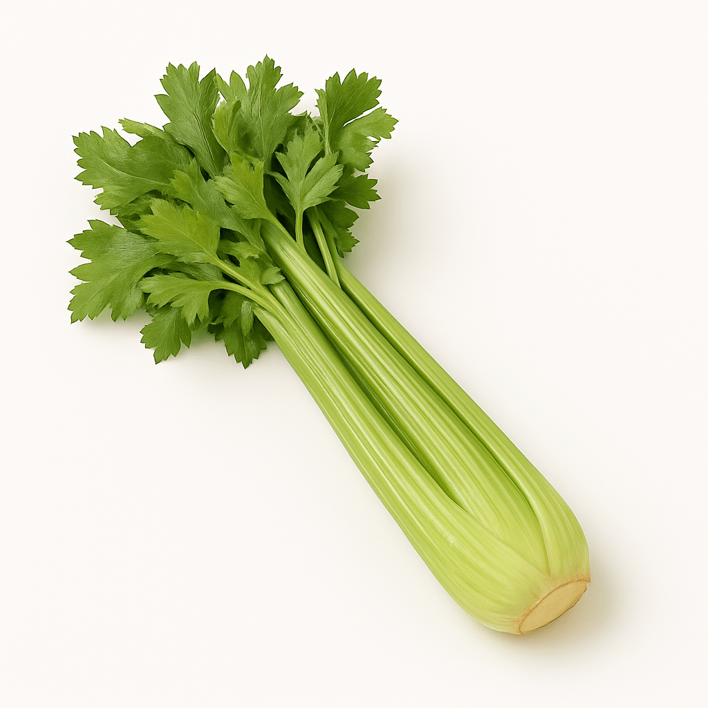 Celery Each - 24shopping.shop