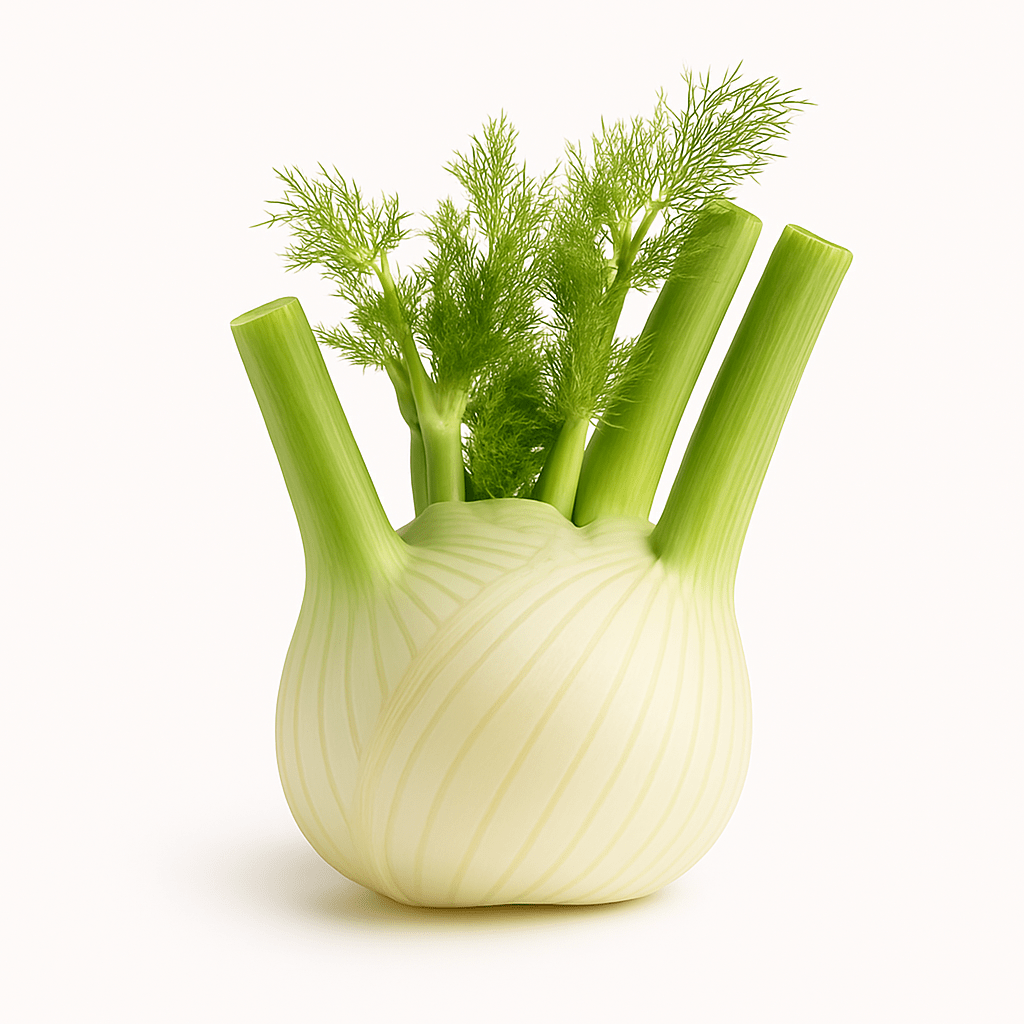 Fennel 500g - 24shopping.shop