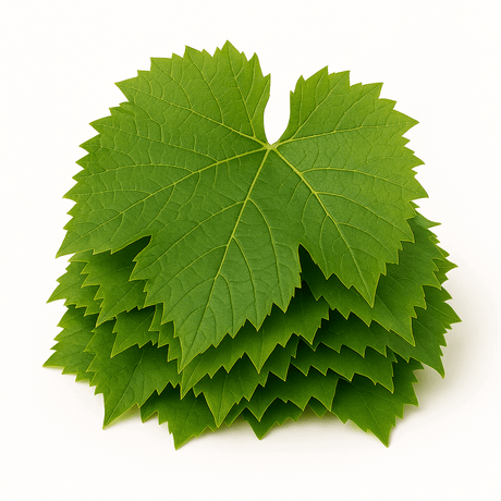 Fresh Grapes leaves 1kg - 24shopping.shop