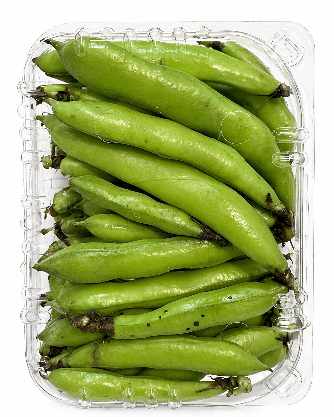Fresh Green Beans Pack - 24shopping.shop