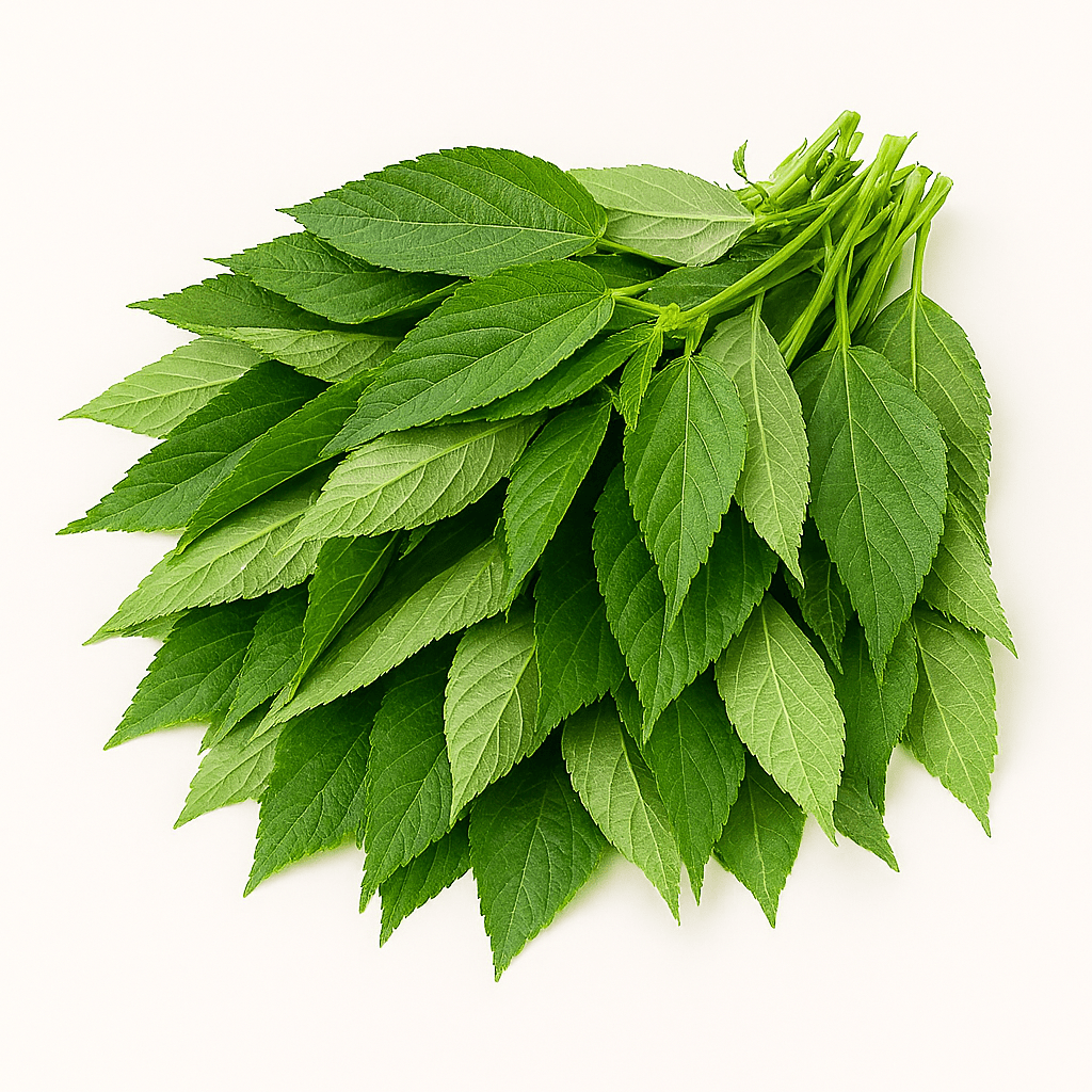 Fresh Molokhia (Jute Mallow) 200g - 24shopping.shop