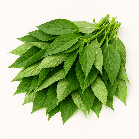 Fresh Molokhia (Jute Mallow) 200g - 24shopping.shop