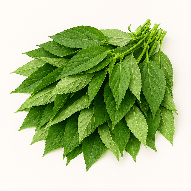 Fresh Molokhia (Jute Mallow) 200g - 24shopping.shop