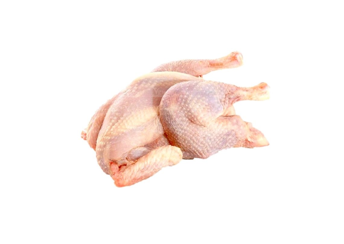 Hard chicken halal - 24shopping.shop
