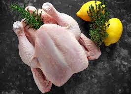 Baby Chicken halal- 24shopping.shop