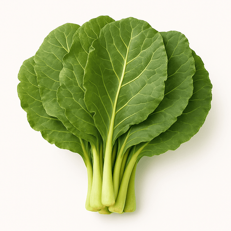 Lahana Bunch (Seleq) - 24shopping.shop