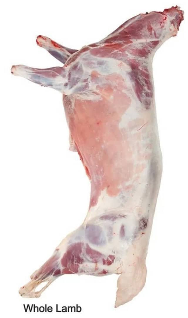 Whole Lamb halal APX 12 - 14kg - 24shopping.shop