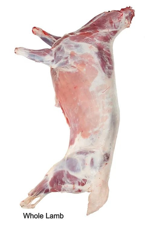 Whole lamb halal APX 14 - 16kg - 24shopping.shop