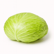 Fresh Turkish white cabbage whole head