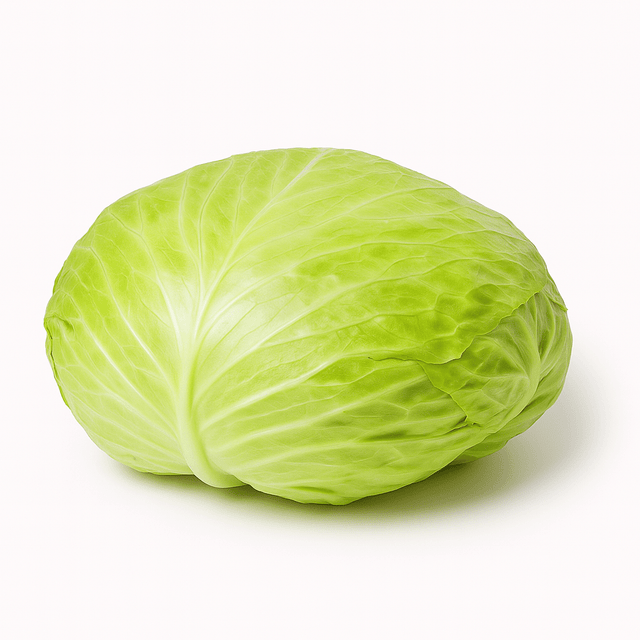 Fresh Turkish white cabbage whole head