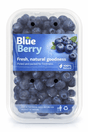 Blue Berry Back - 24shopping.shop