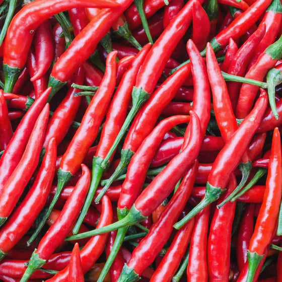 Cayenne Red Pepper 500g - 24shopping.shop