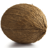 Coconut Each - 24shopping.shop