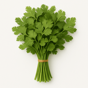 Cyprus Coriander Bunch - 24shopping.shop