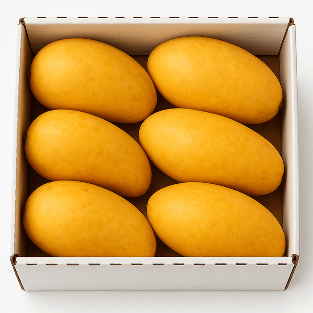 Dominican mango box - 24shopping.shop