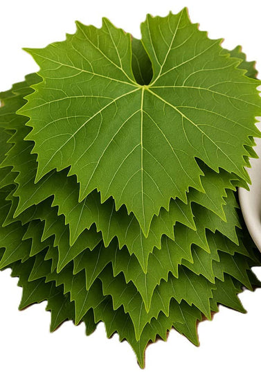 Fresh Grapes leaves 1kg - 24shopping.shop