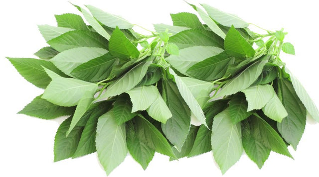 Fresh molokhia 200g - 24shopping.shop
