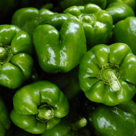 Green Pepper 500g - 24shopping.shop