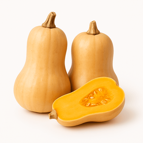 Squash Each - 24shopping.shop