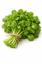 Watercress Each - 24shopping.shop