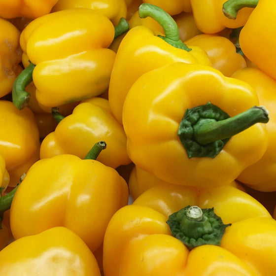 Yellow Pepper 500g - 24shopping.shop