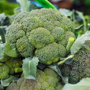 Broccoli 1kg - 24shopping.shop
