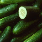 Cucumber - Each - 24shopping.shop