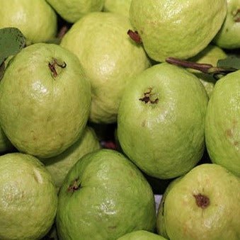 Guava 500g - 24shopping.shop