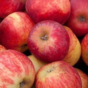 Red Apple 1kg - 24shopping.shop